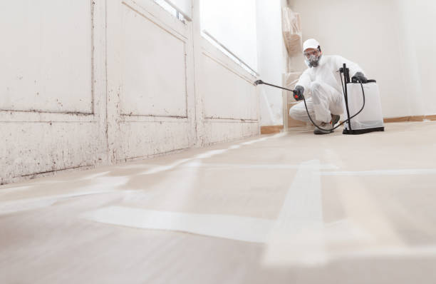 24/7 Emergency Mold Remediation experts in Potomac, MD